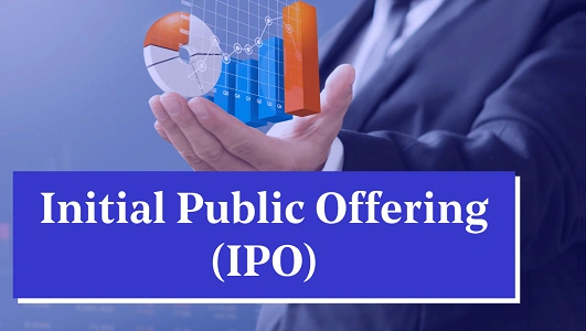 Initial Public Offerings