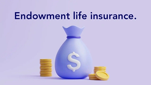 Endowment Insurance