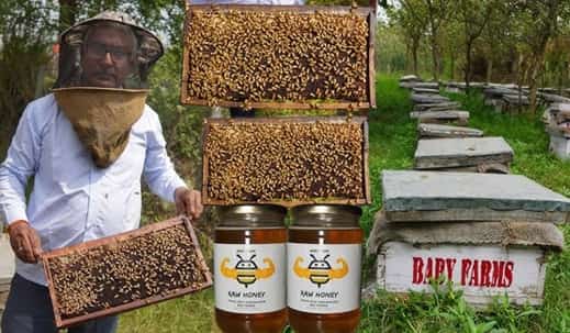 Honey Business