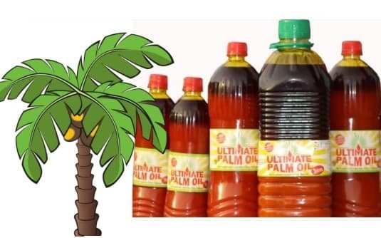 Palm Oil Business
