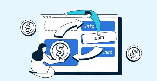 Domain Flipping Business
